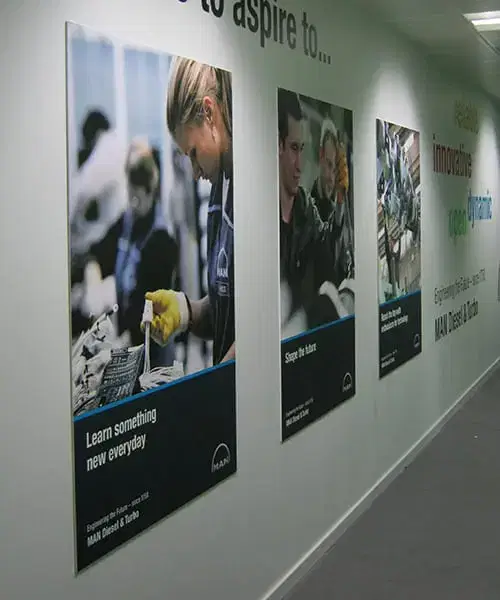 Sign Showcase Divider 1